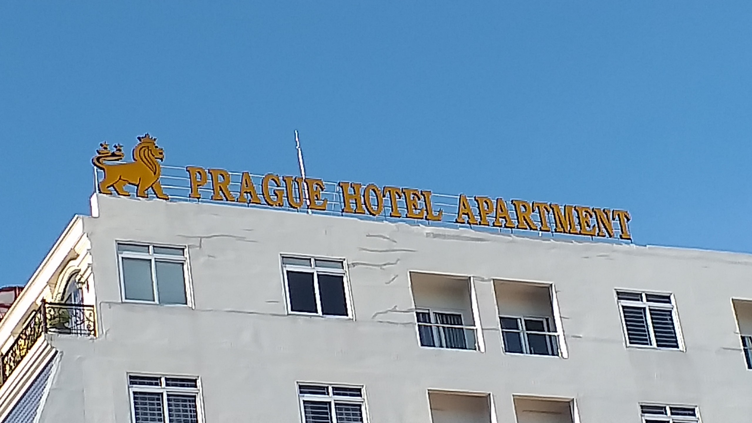 z3585156130697_cc8e67dfe9e76abd06d905c560ae9cab